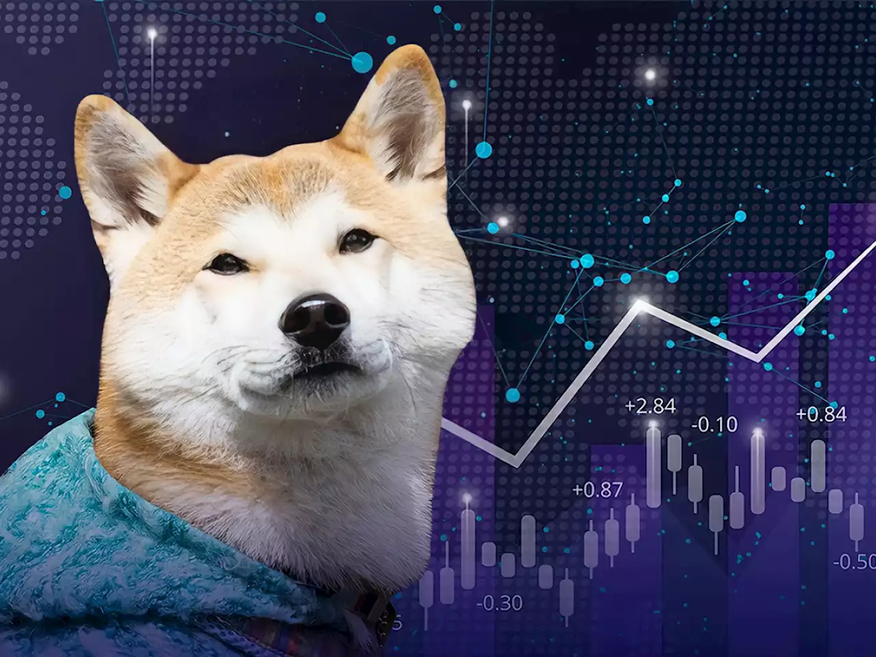 Shiba Inu Shows Double-Digit Weekly Social Performance: LunarCrush