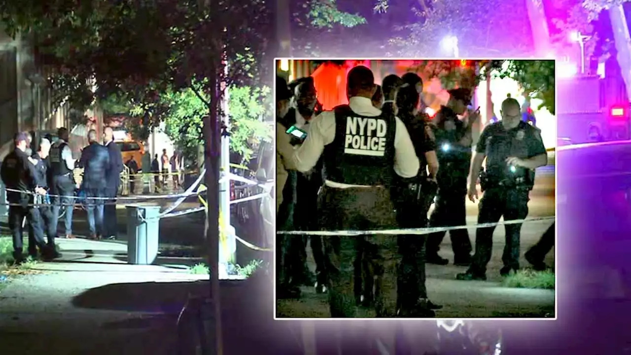 Woman walking with baby stroller shot to death on Manhattan's Upper East Side