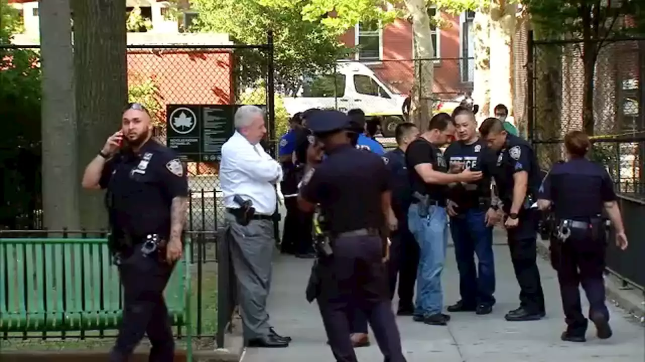 2 boys, ages 11 and 13, stabbed in brawl outside Brooklyn NYCHA complex