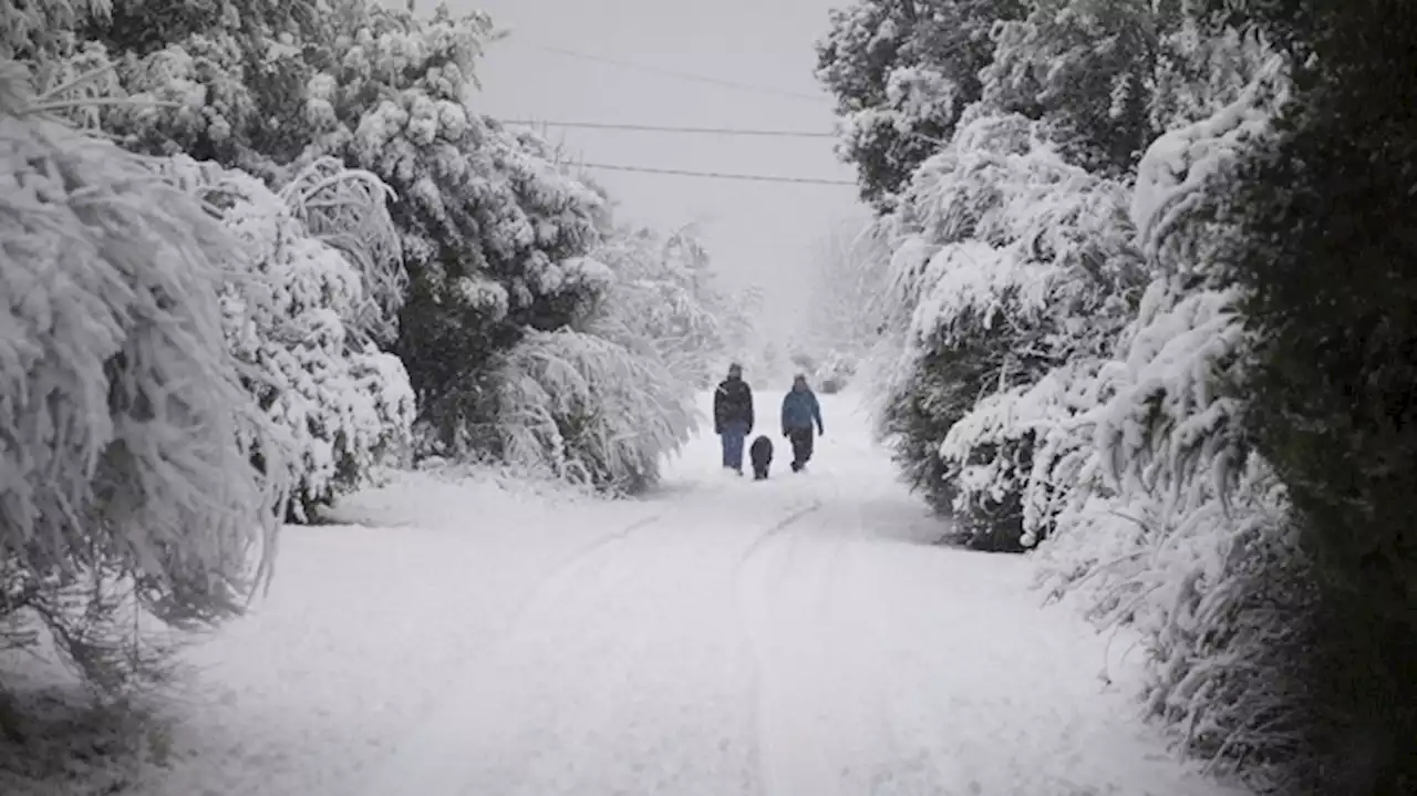 Alerta amarilla por nevadas, vientos intensos y viento Zonda en diez provincias