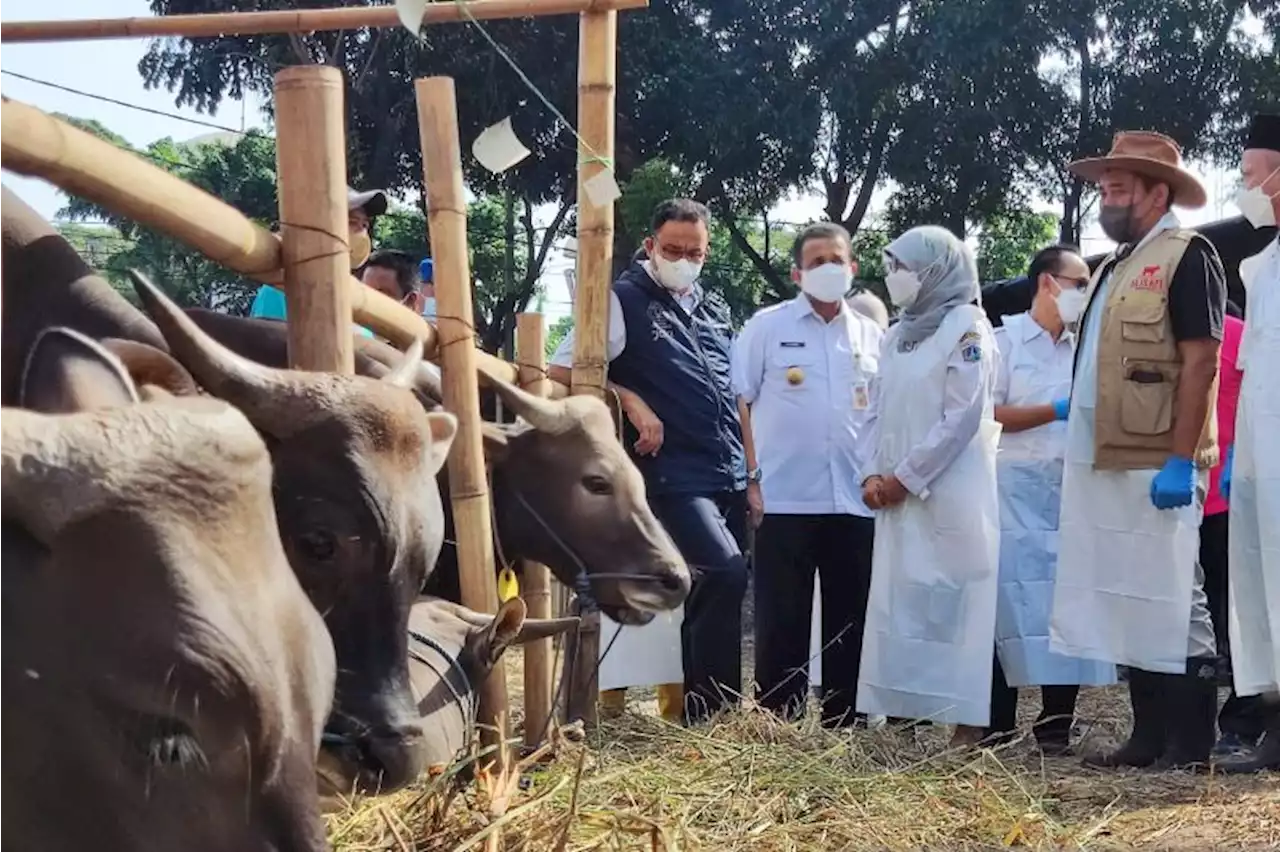 Anies lepas 865 petugas pemeriksa hewan dan daging kurban di Jakarta