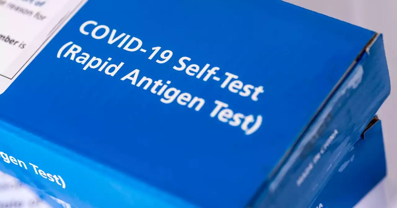 Covid NI: Self-isolation guidance changes and test availability extended