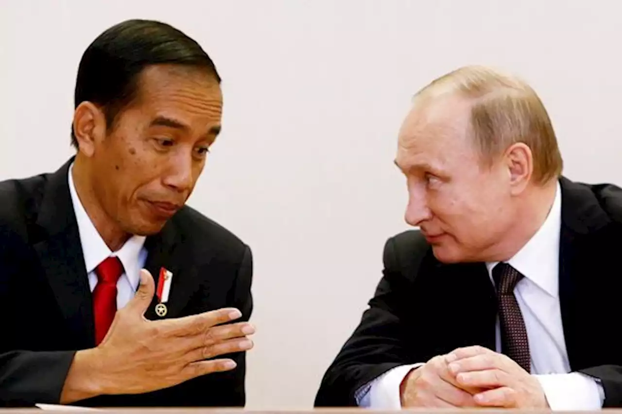 Putin Siap Bantu Jokowi Kembangkan Nuklir di Indonesia | Kabar24 - Bisnis.com