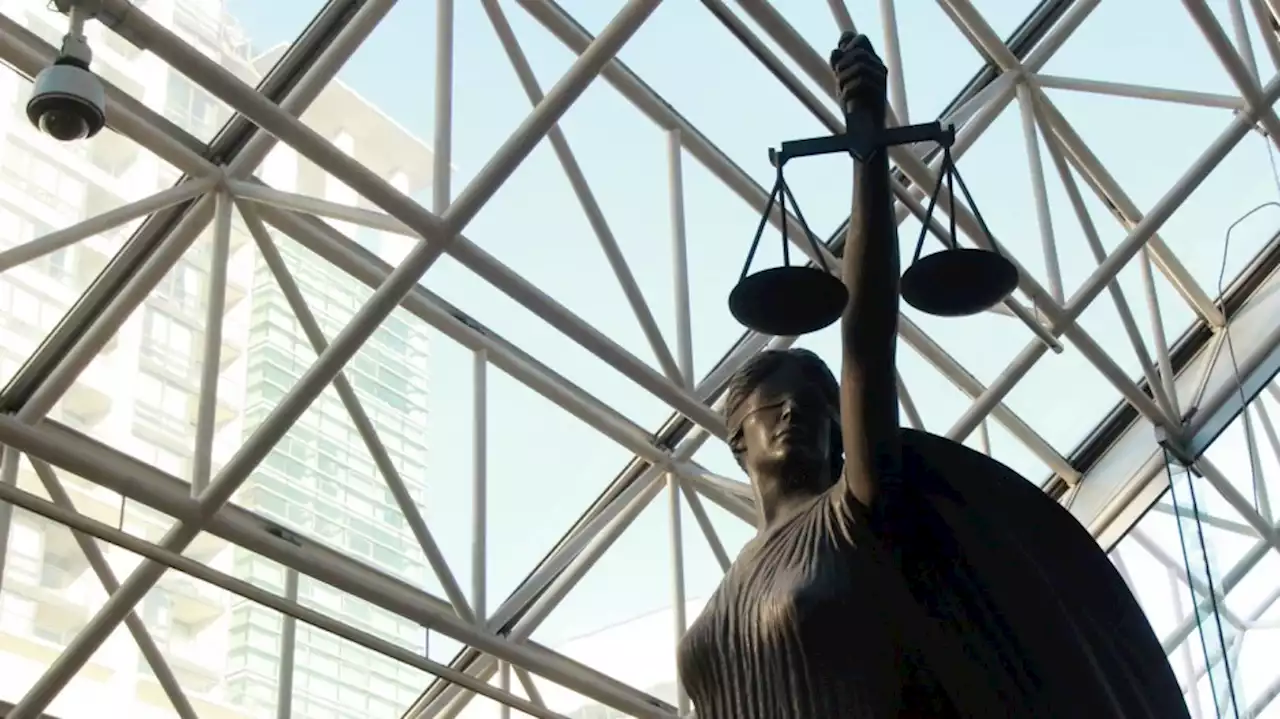 Save Old Growth blockader pleads guilty, same day protesters end highway, bridge protests