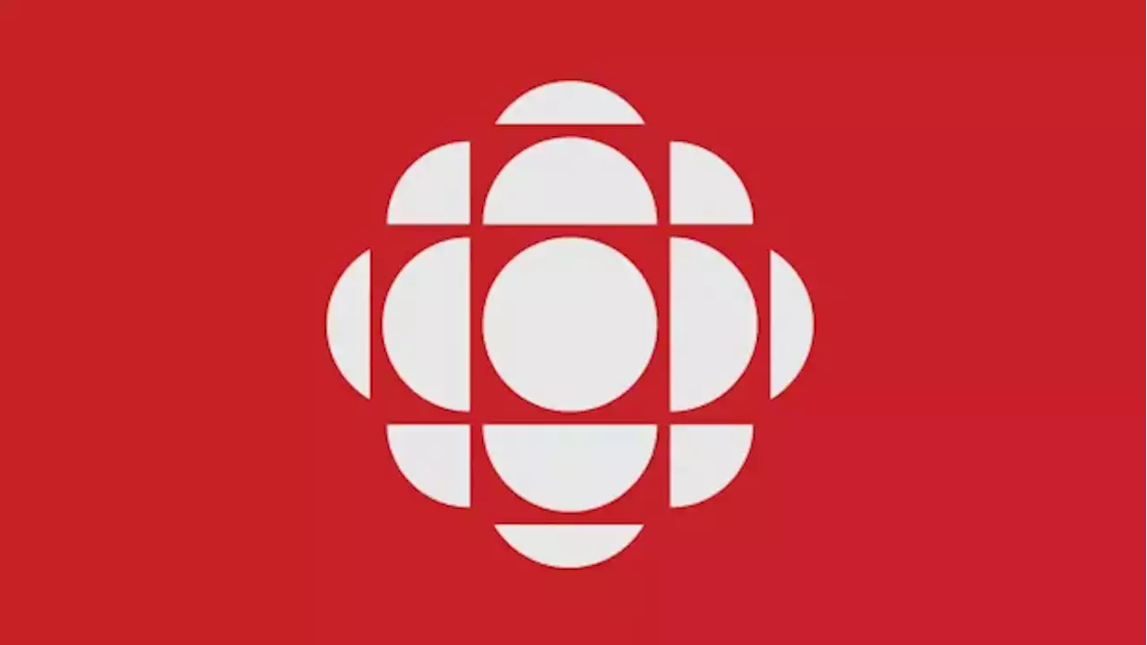 CBC News to launch streaming channel with Andrew Chang hosting daily show | CBC News