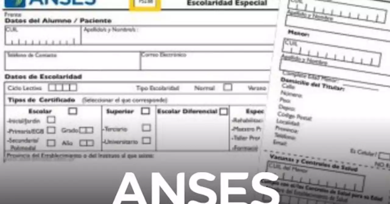 ANSES otorga un bono extra de $10.000 a estos beneficiarios: �c�mo acceder?