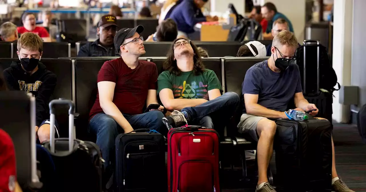 Dallas airports coping with crush of passengers on the busiest travel day of the summer