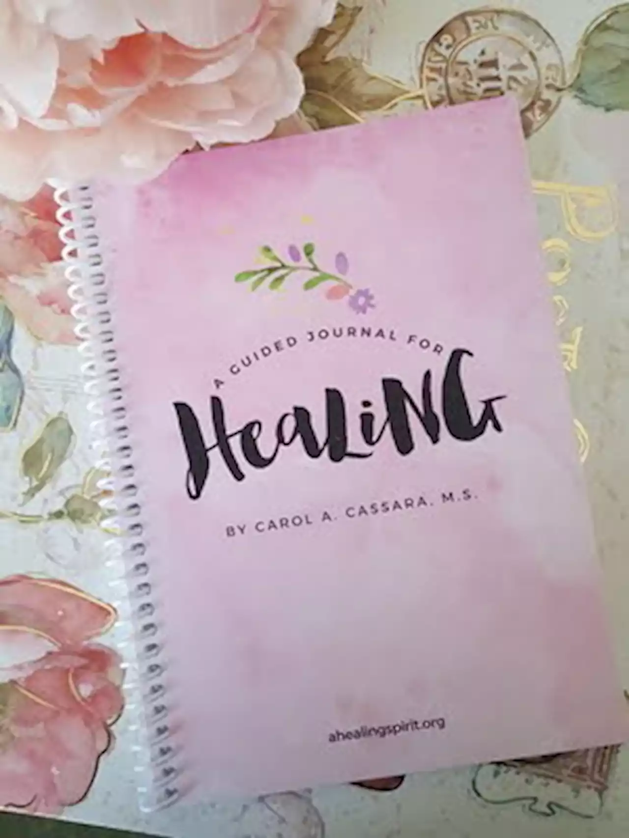 How you can use a healing journal to support healing - Carol Cassara