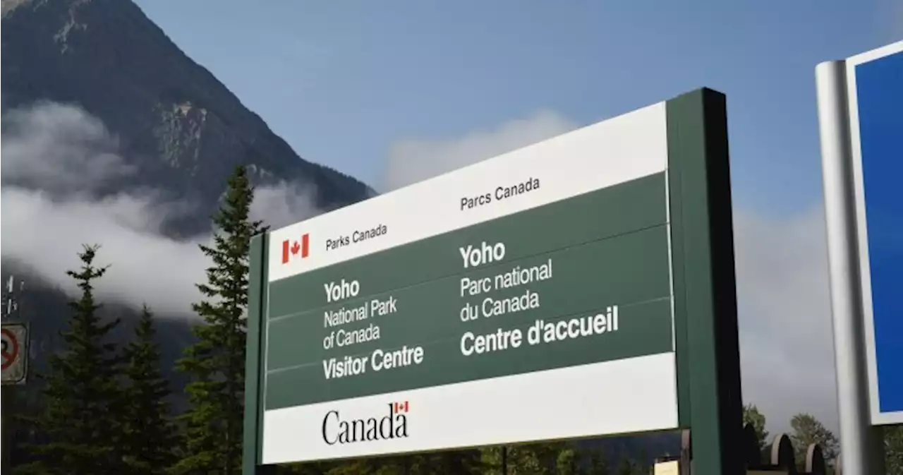 Police urge motorists to be aware of bears in Yoho National Park | Globalnews.ca