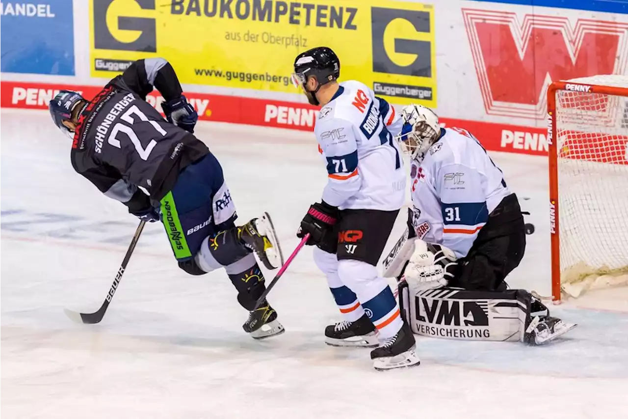 DEL: Das ist der Spielplan der Straubing Tigers - idowa