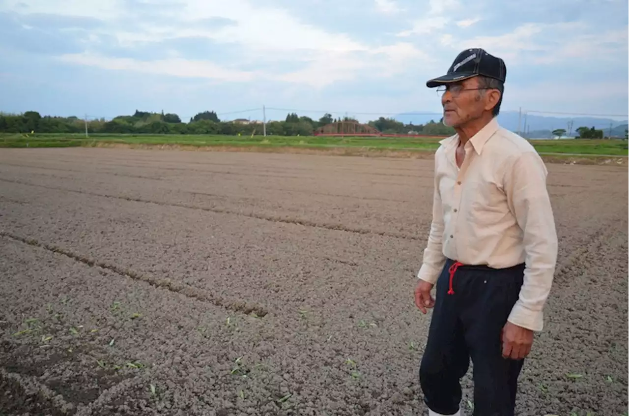 「どこに移り住めと…」九州豪雨2年、「流域治水」で割れる住民 - トピックス｜Infoseekニュース