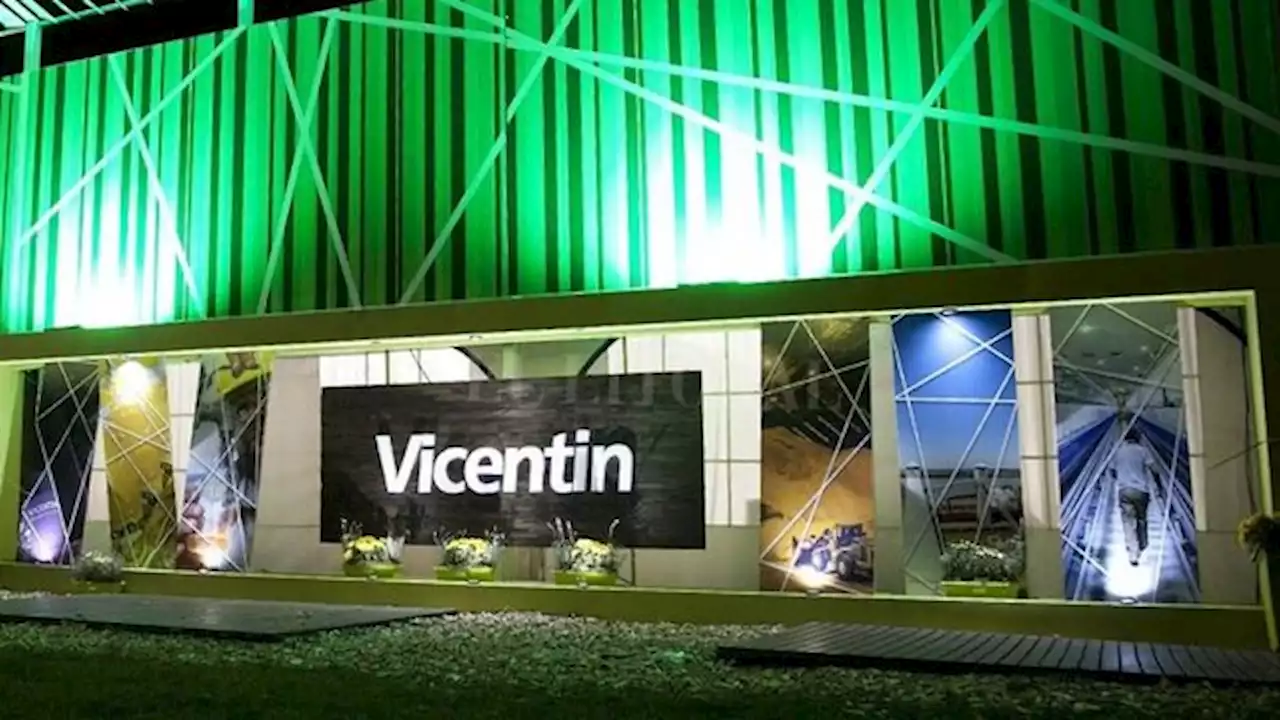 Vicentin con apoyo de bancos internacionales saldría del concurso