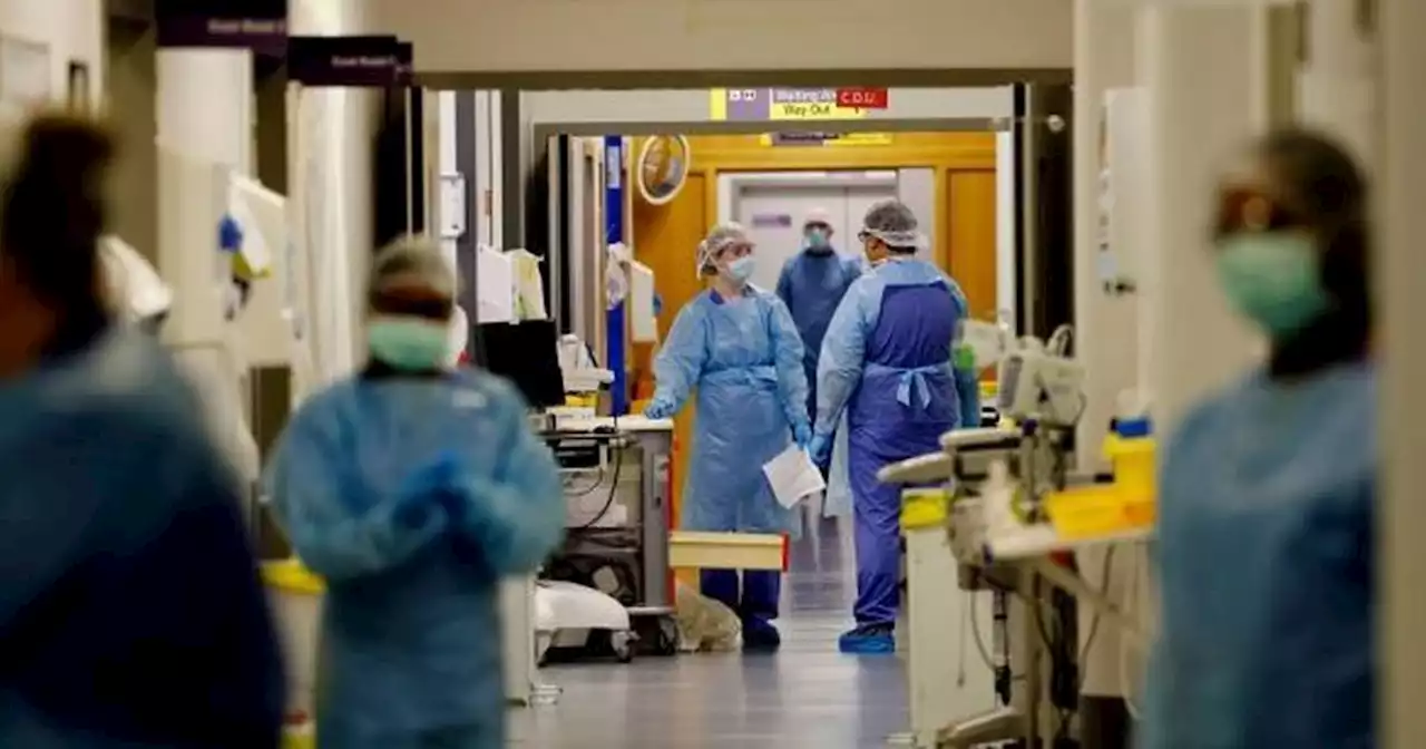 Covid-19 wave ‘at or beyond’ halfway point, says HSE’s chief clinician