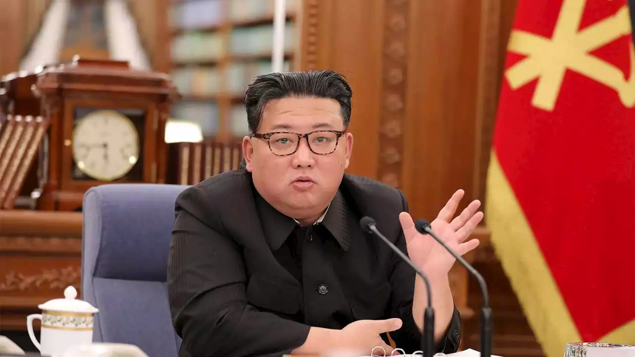 Covid, l’accusa di Kim Jong-un: “Mandato con i palloncini dalla Corea del Sud”