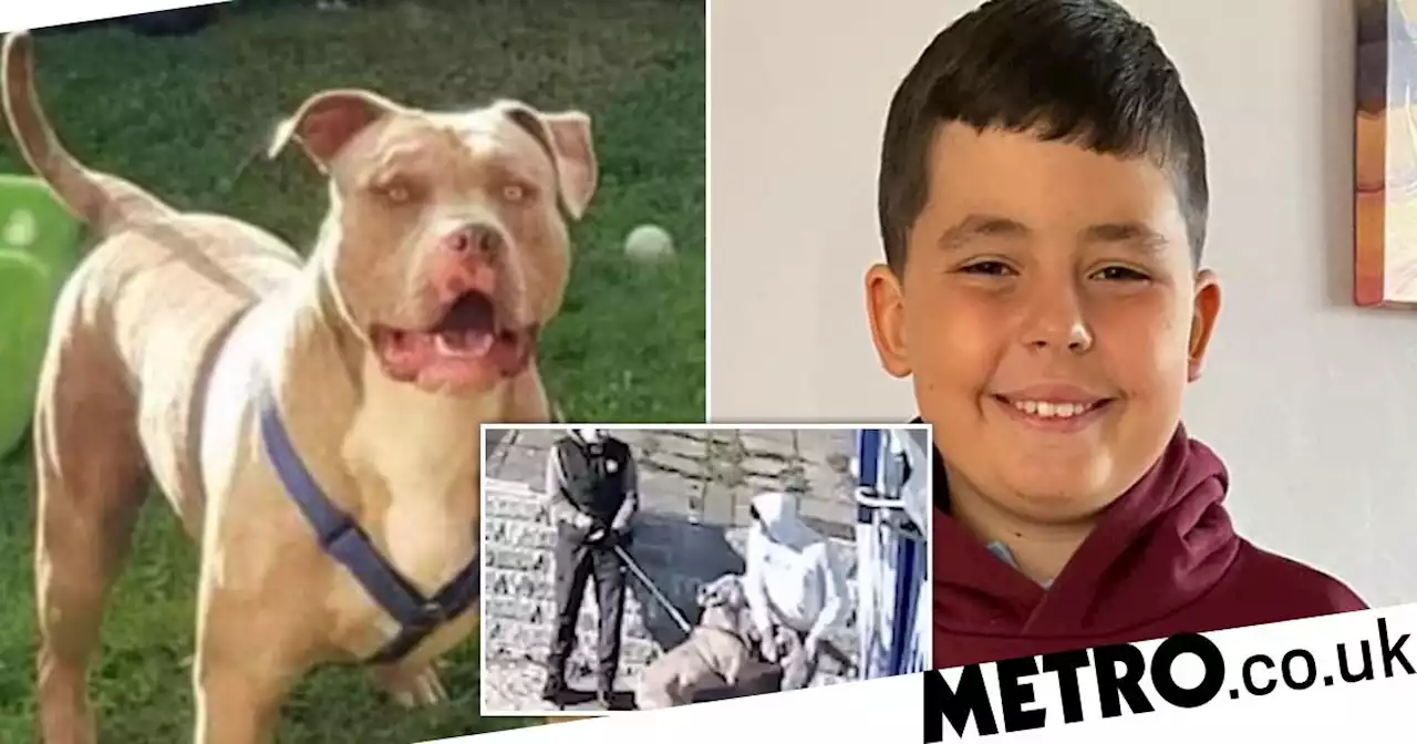 Mum of boy, 10, mauled to death by dog named 'Beast' condemns owners' sentences