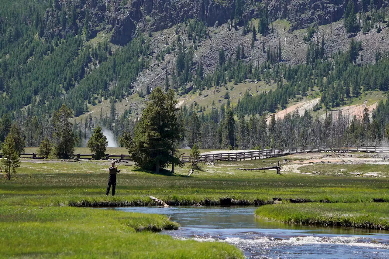 Much of Northern Yellowstone Park to Reopen Saturday