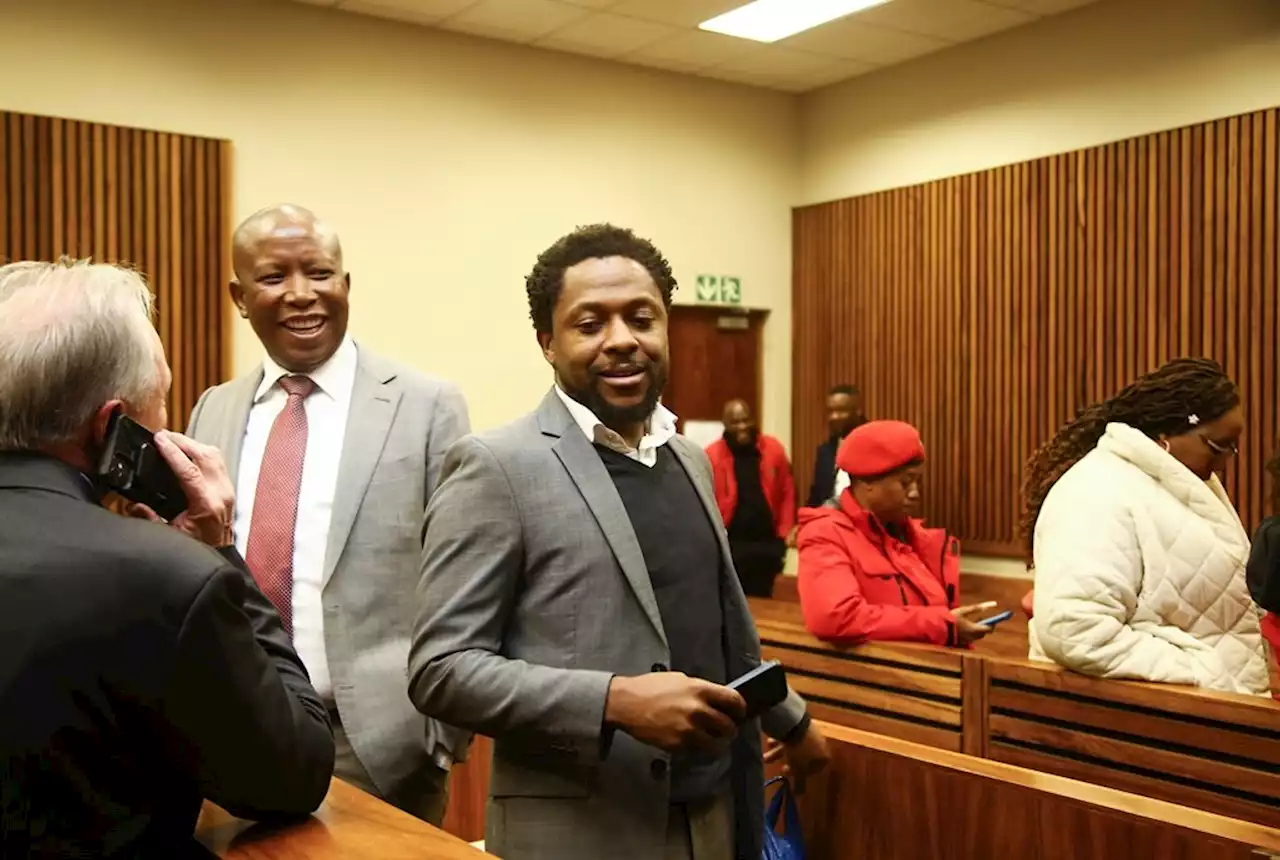 Ndlozi tells court cop accusing him of assault was strong, unreasonable and 'violated' his rights | News24