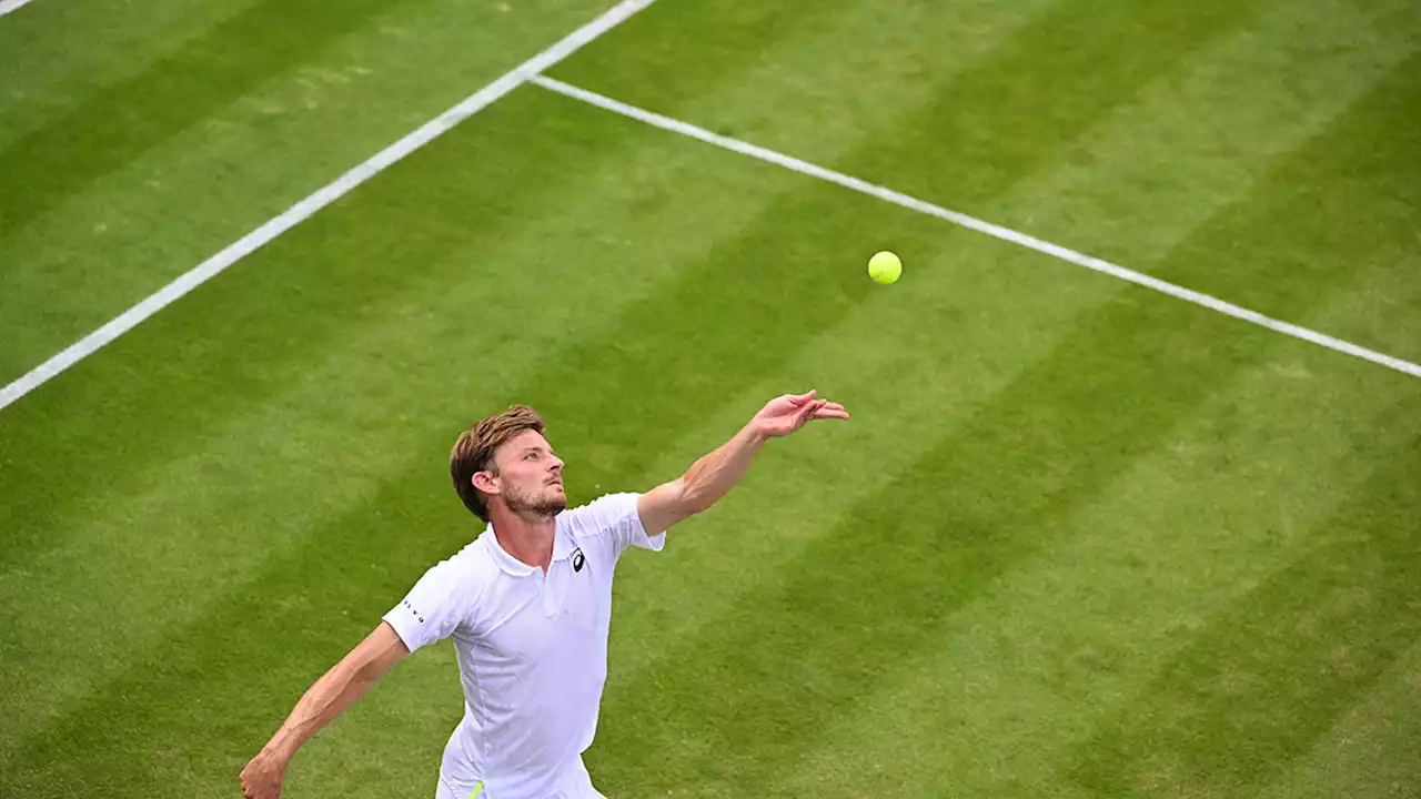 Un come-back impeccable: David Goffin impressionne contre Humbert et brille à Wimbledon