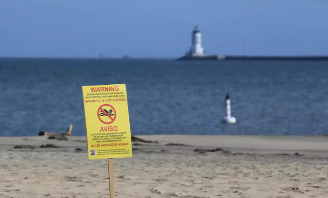 Most Texas beaches are so infested with poop they could make you sick, study shows