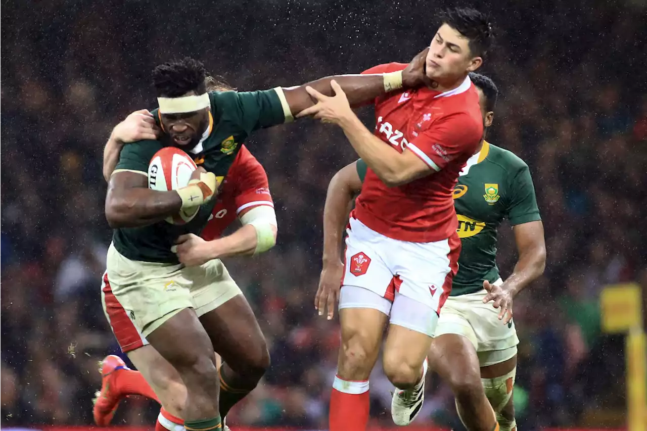 Siya: Boks can knock the lights out of Wales