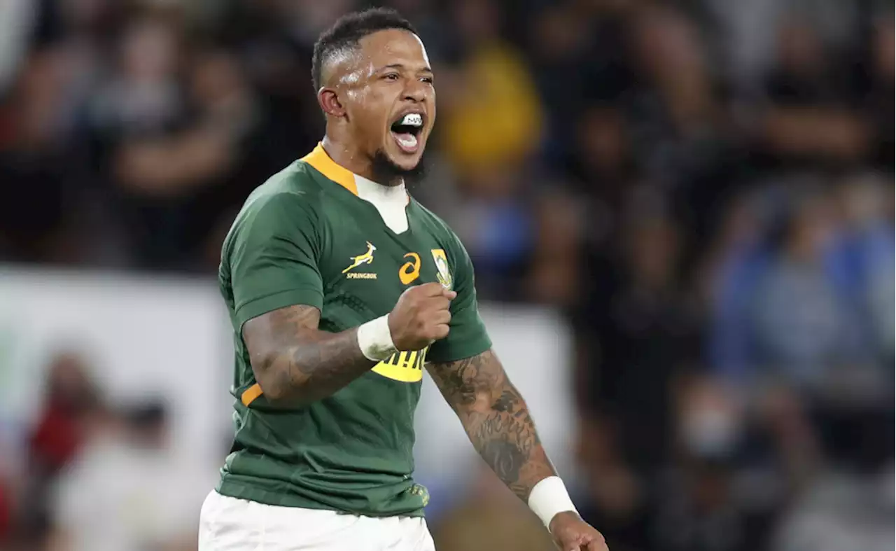 Why I am backing a big Springboks win