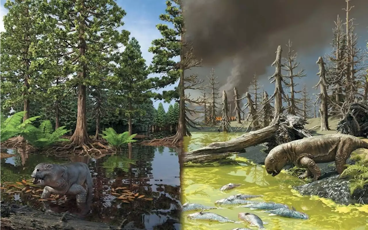 Toxic Slime Contributed to Earth&rsquo;s Worst Mass Extinction&mdash;And It&rsquo;s Making a Comeback