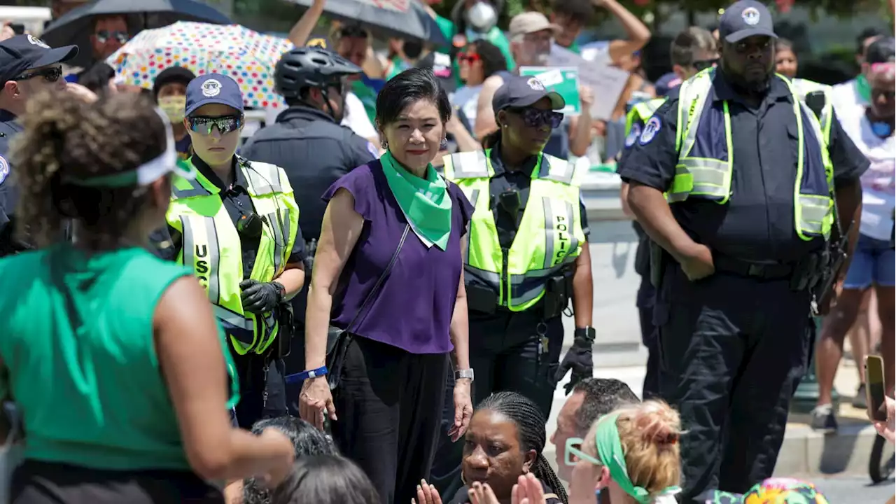 Dem Congresswoman Among 181 Protesters Arrested Outside Supreme Court