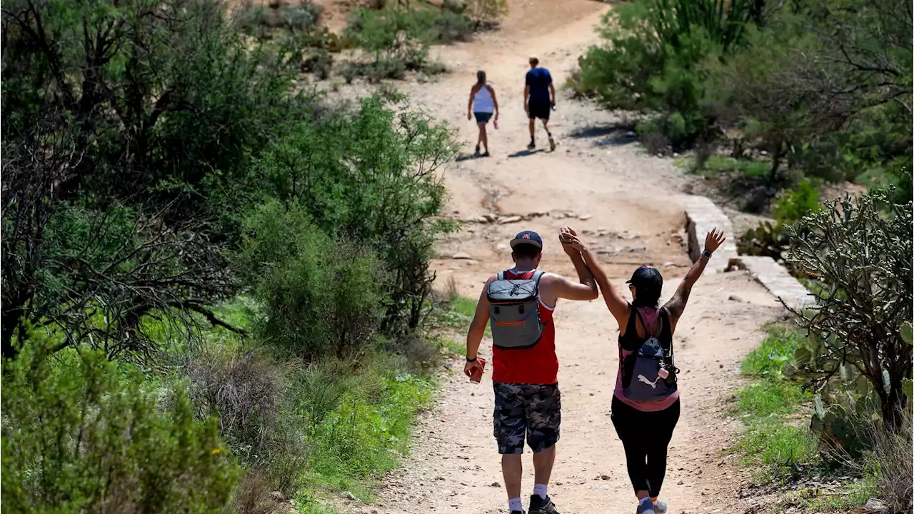 6 places to take a leisurely walk in Tucson