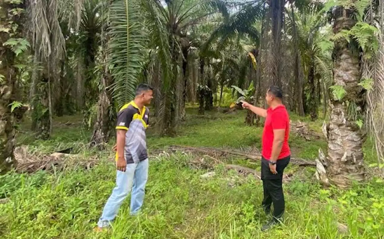 Generasi baharu Lepar Utara 3 minta geran tapak rumah