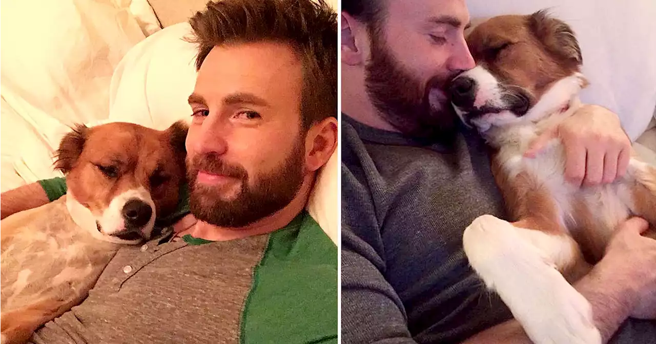 Chris Evans and His Dog Dodger: A Timeline of Their Pawsome Friendship