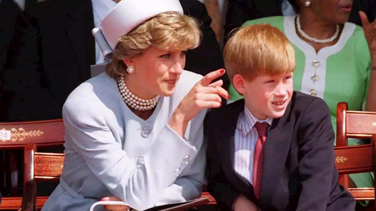 The Story Behind Prince Harry’s Democratic Roots