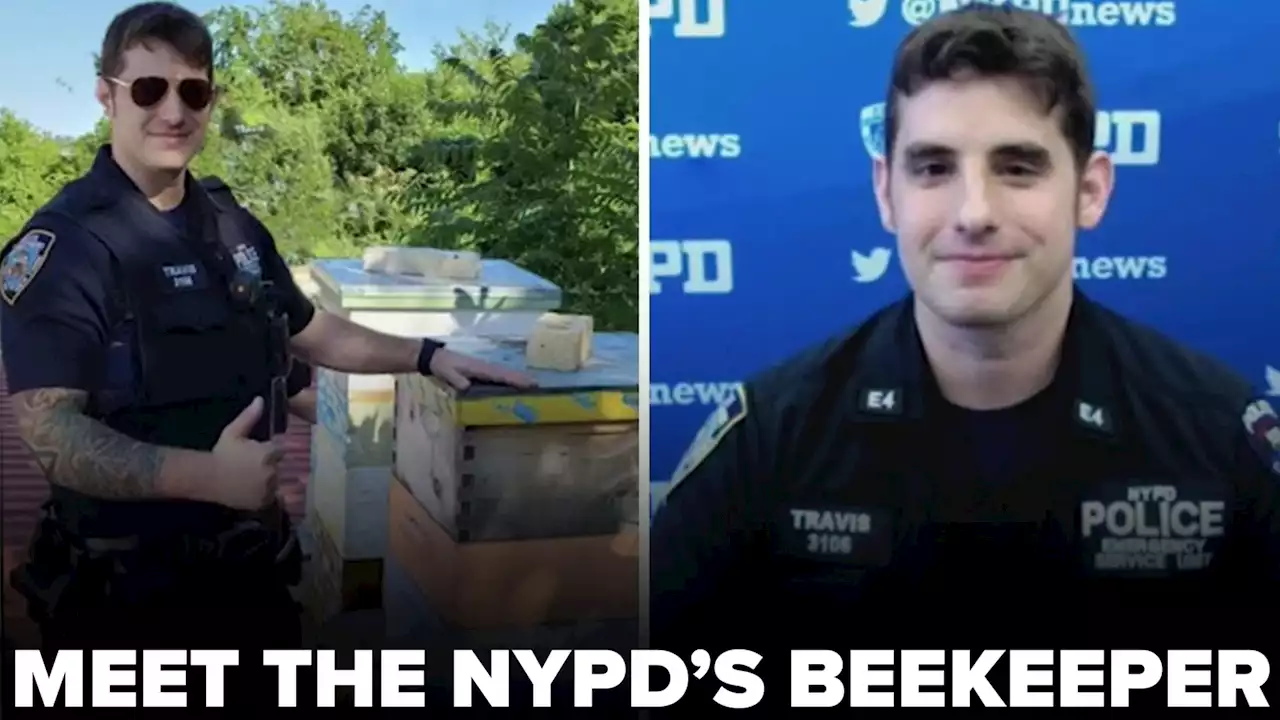 Weather or Not: Meet the NYPD's beekeeper