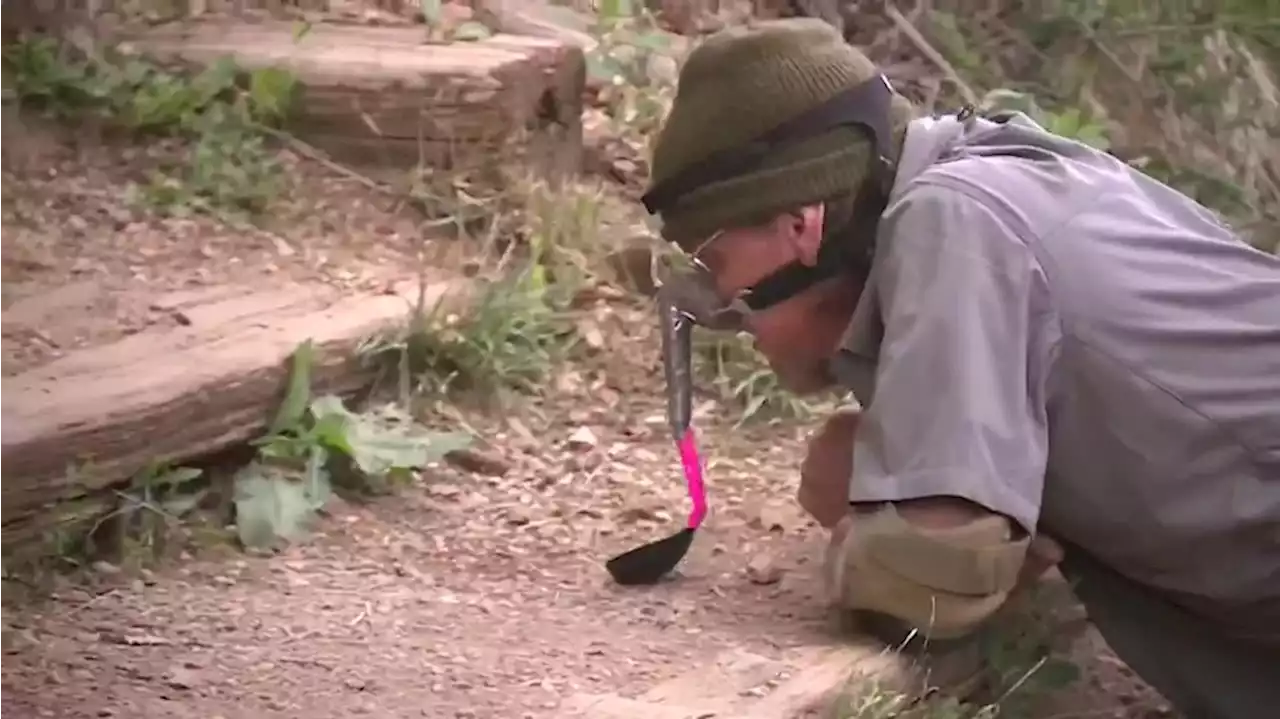 ‘I don’t think I’m nuts’: Man plans to push peanut (with his nose) 13 miles to mountain peak