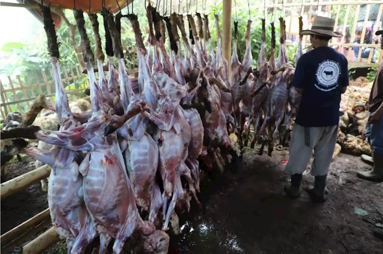 Warga satu kampung di Garut berkurban 800 domba