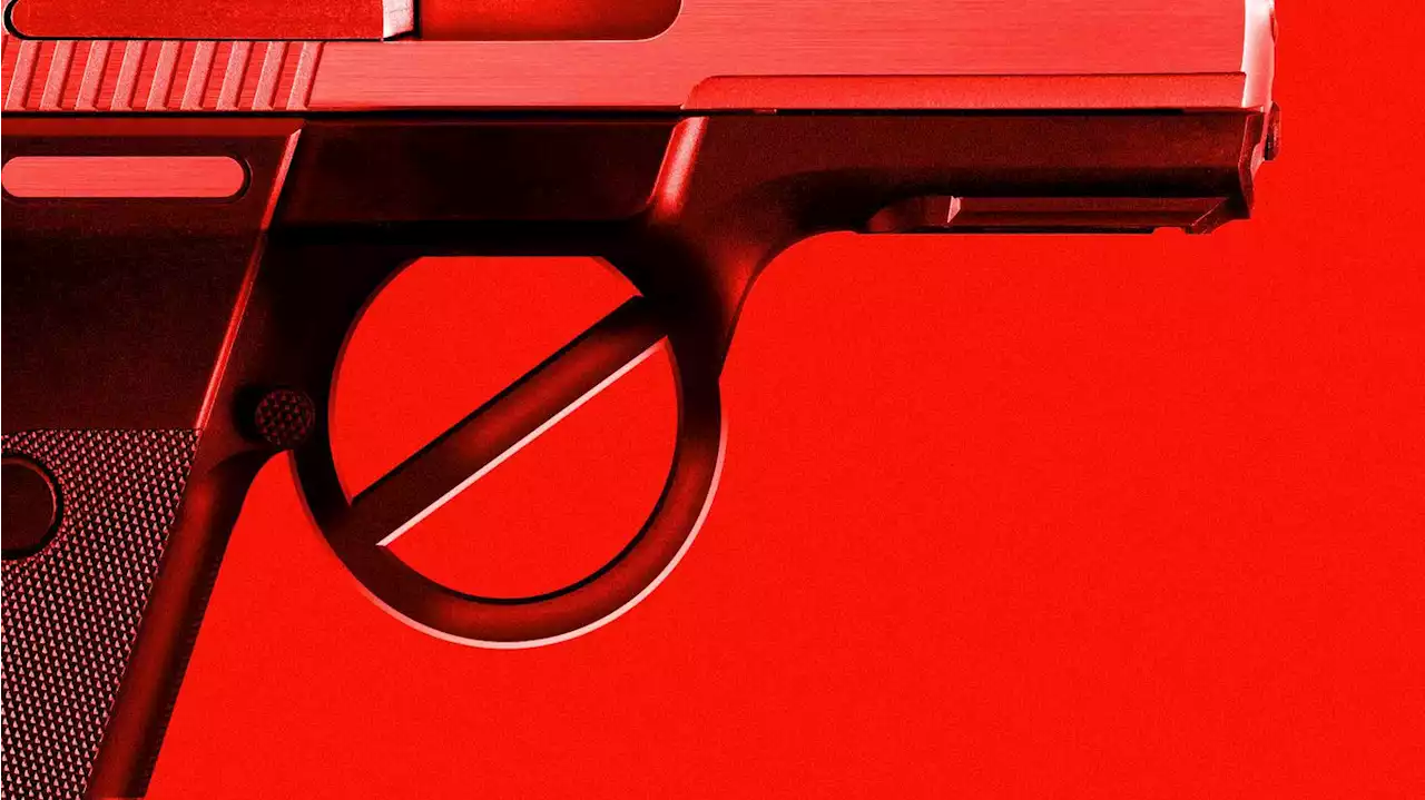 What makes 'red flag' gun laws work