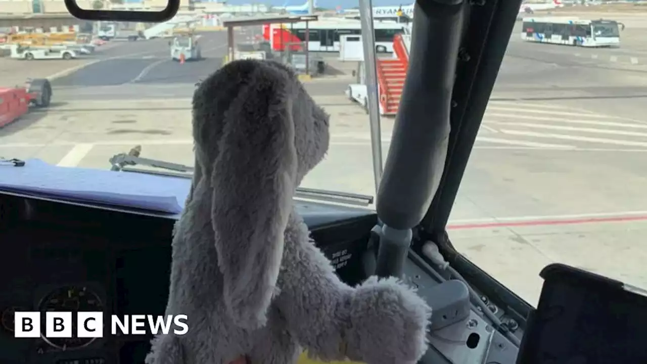 Lost in Palma: Airline reunites Wakefield boy with soft toy