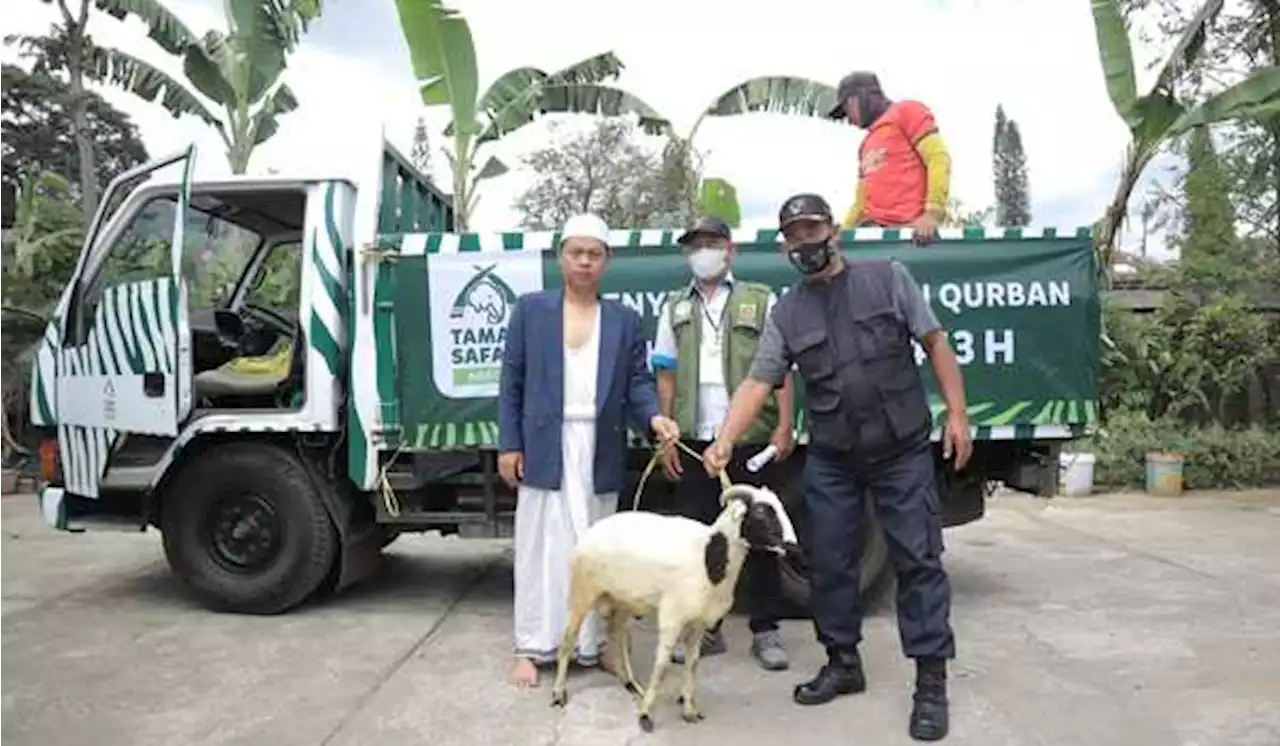 Iduladha 1443 H, Taman Safari Bogor Potong 35 Kambing