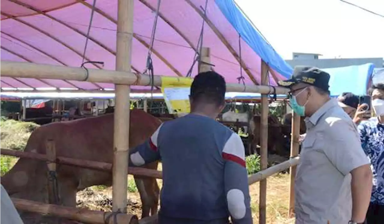 Plt Bupati Bogor: Jangan Takut Makan Daging Kurban