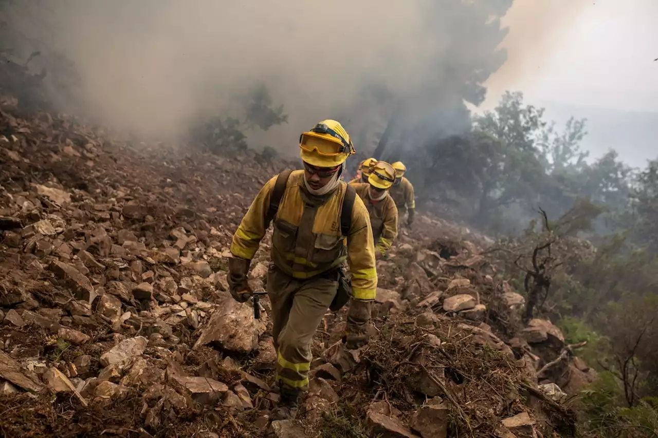 Mallorca: Mehrere Waldbrände sorgen für Unruhe