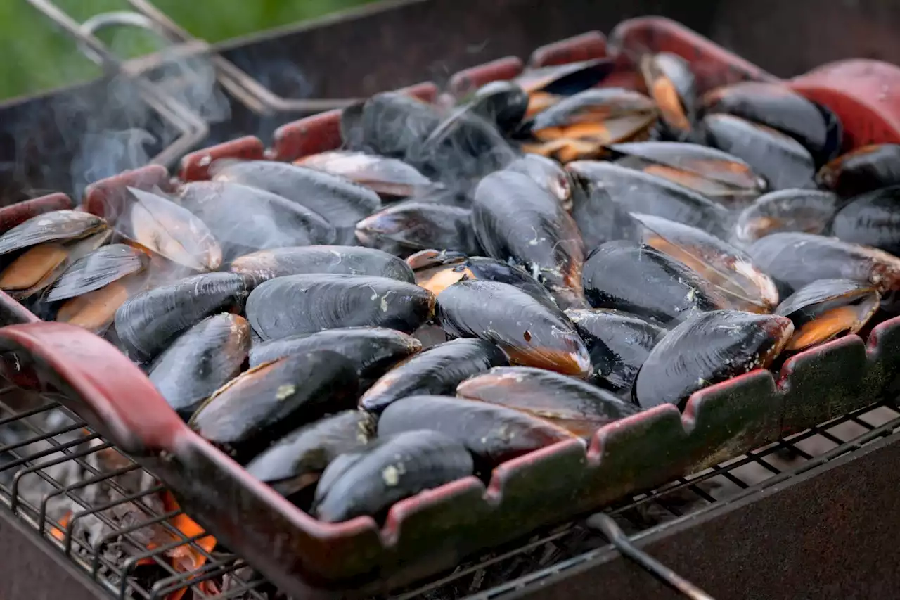 New seafood recall: Cancer-causing chemicals triggered a serious recall