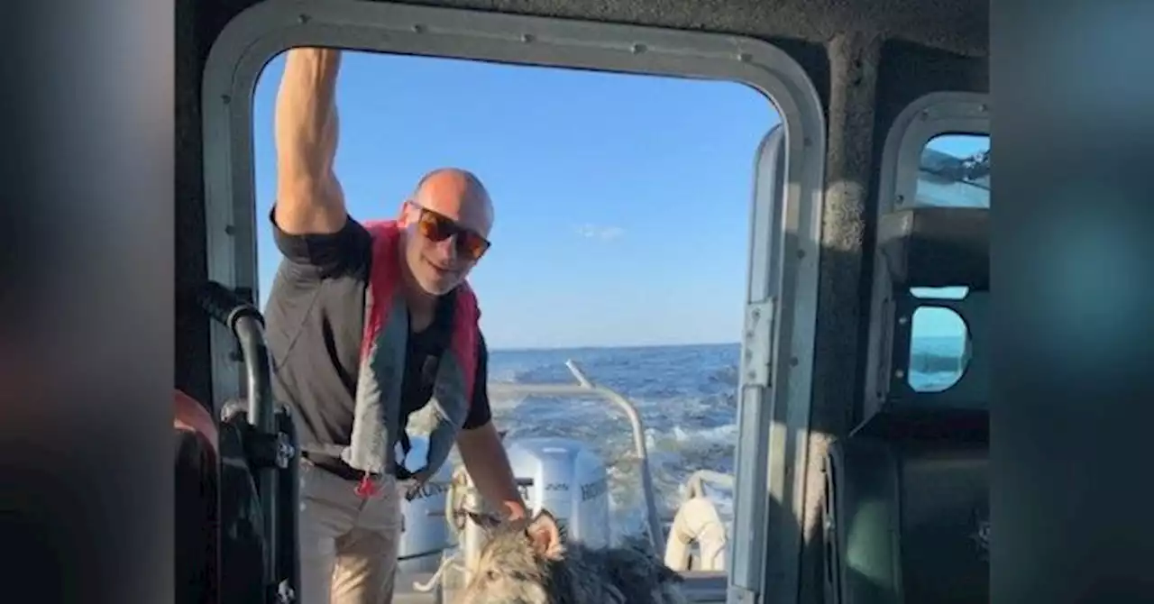 PHOTOS: Officers Rescue Dog Stranded 1.5 Miles Off NJ Coast