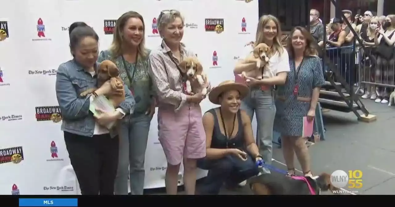 Broadway Barks adoption event returns to Theater District