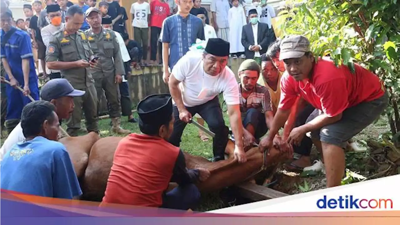 Pj Gubernur Banten Potong 10 Hewan Kurban, Salah Satunya Milik Jokowi