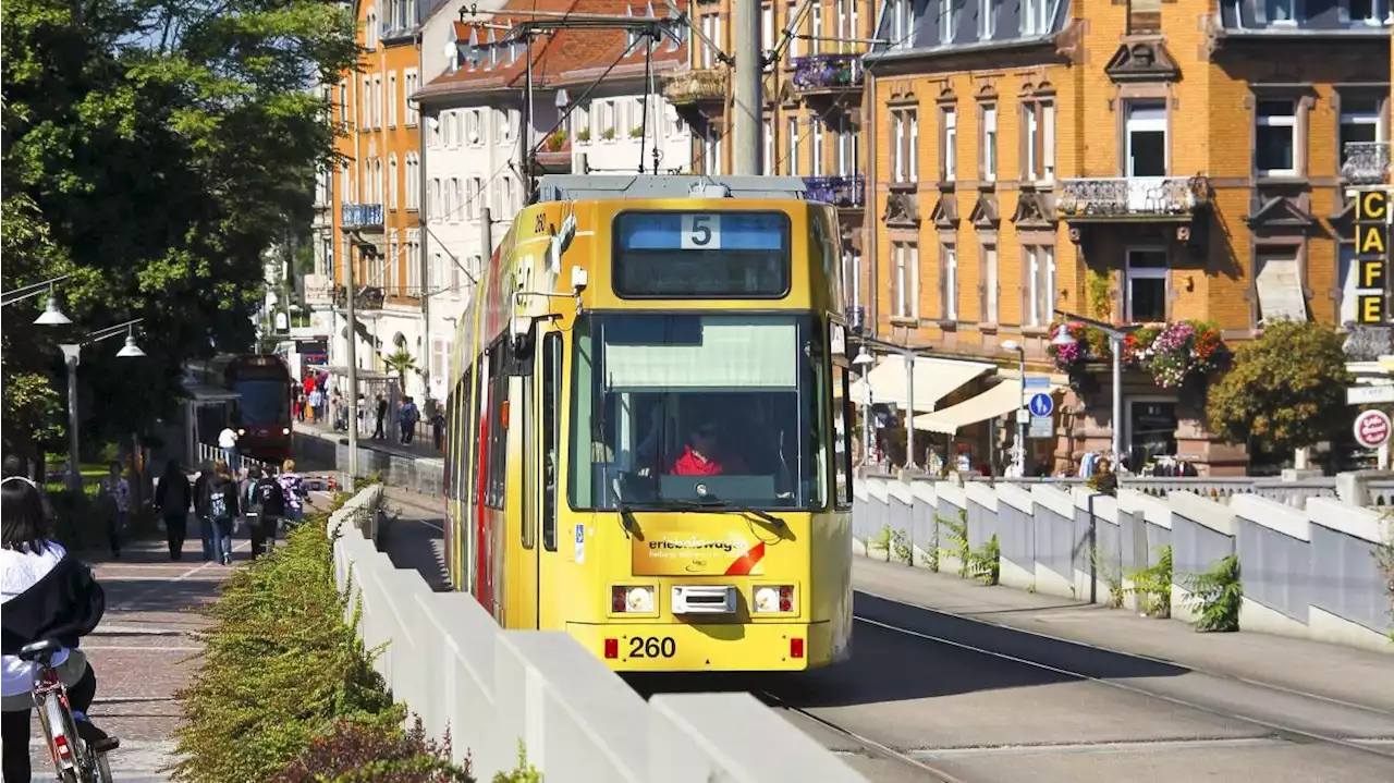 ÖPNV - Pro Bahn begrüßt Pläne für vereinfachtes Tarif-System