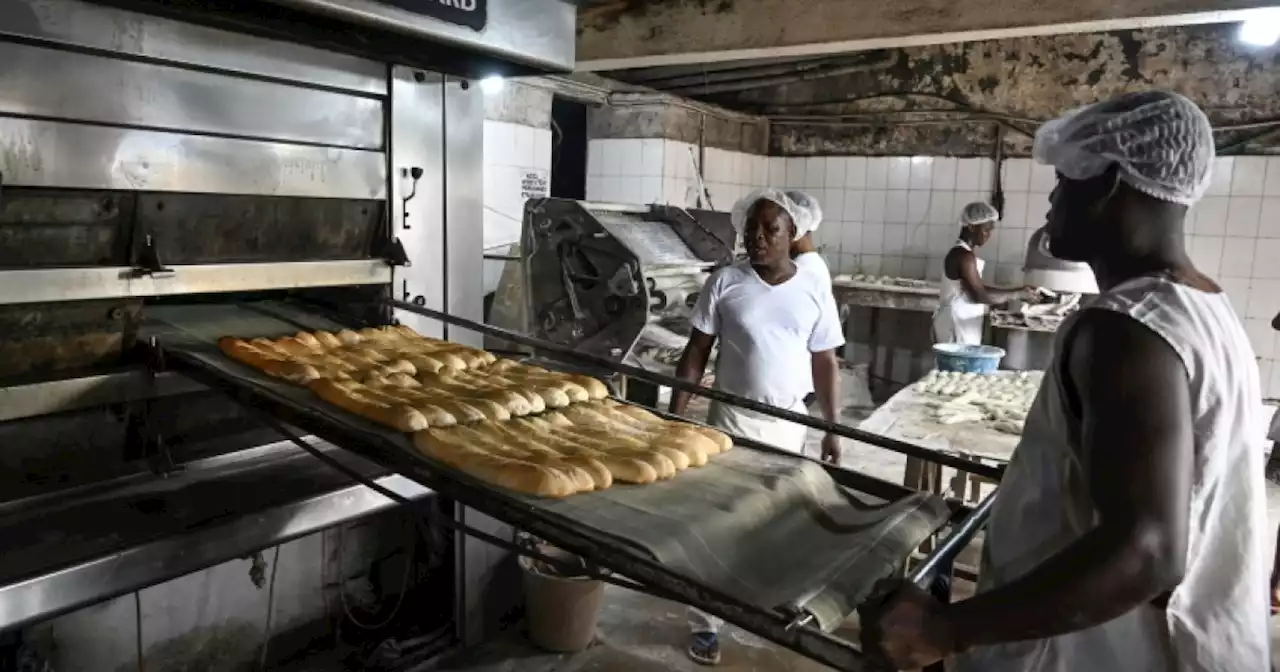 Ivory Coast eyes cassava for its bread as wheat prices surge