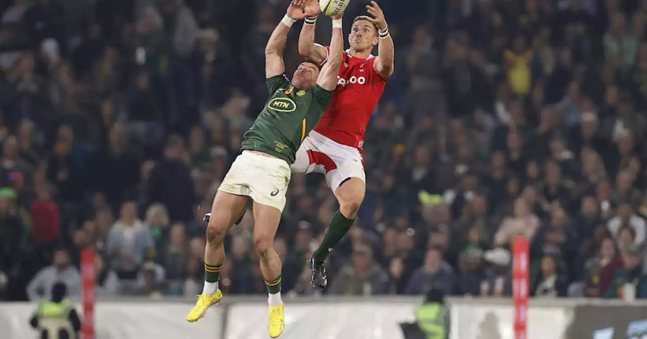 SA vs Wales | Nienaber stands by his decision