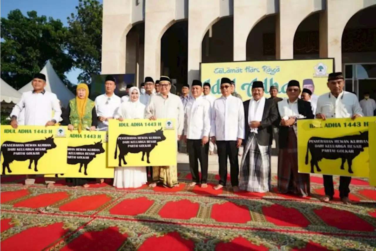 Cegah PMK, Golkar Bagikan Langsung 93 Sapi dan 48 Kambing Kurban