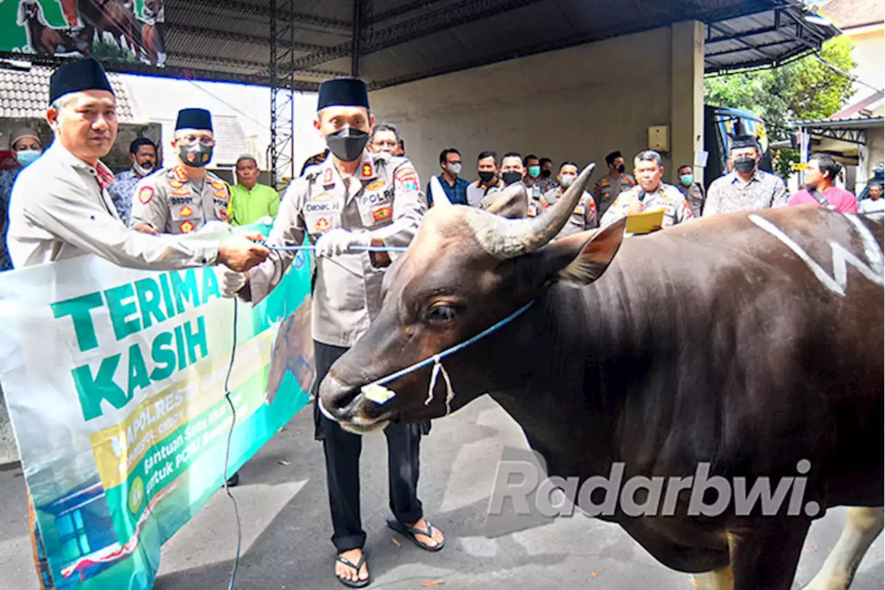 Polresta Serahkan 11 Sapi dan 17 Kambing Kurban