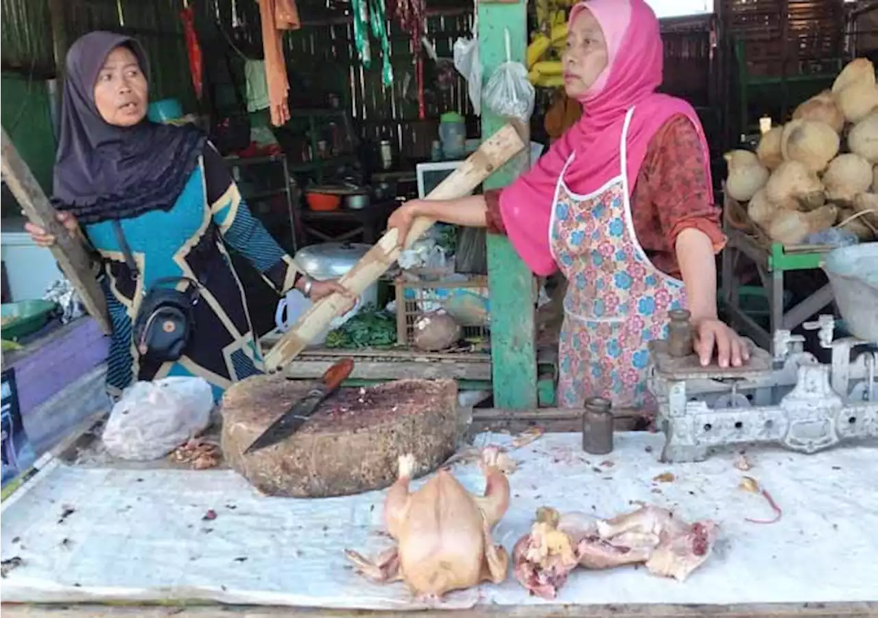 Warga Masih Enggan Konsumsi Sapi Bikin Daging Ayam Melonjak