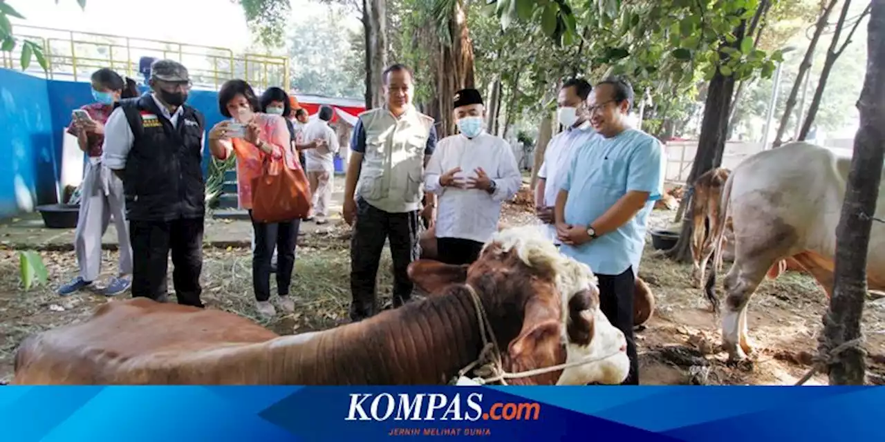 Katedral Serahkan Hewan Kurban untuk Masjid Istiqlal